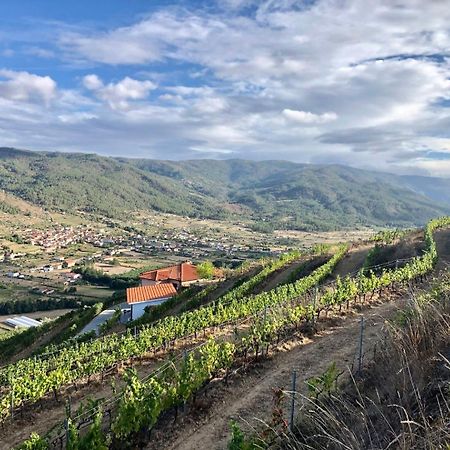 Quinta Da Penada - Vineyard & Winery - Suite 3 シャヴェス エクステリア 写真