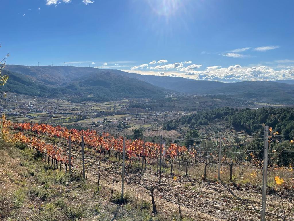 Quinta Da Penada - Vineyard & Winery - Suite 3 シャヴェス エクステリア 写真
