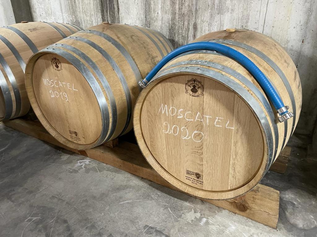 Quinta Da Penada - Vineyard & Winery - Suite 3 シャヴェス エクステリア 写真