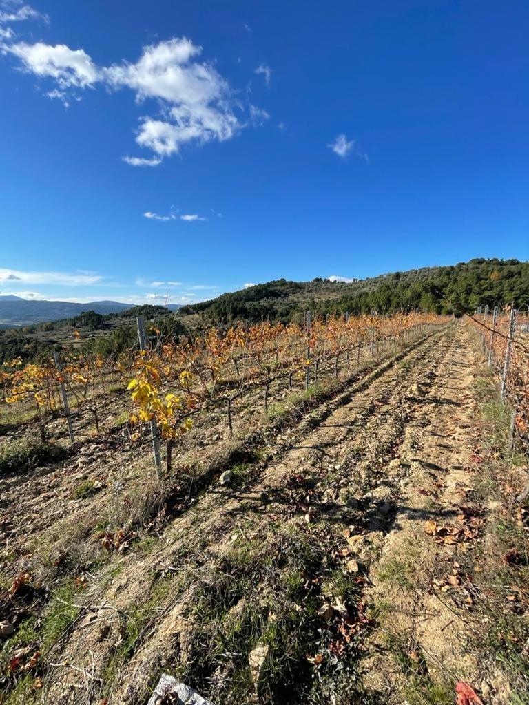 Quinta Da Penada - Vineyard & Winery - Suite 3 シャヴェス エクステリア 写真