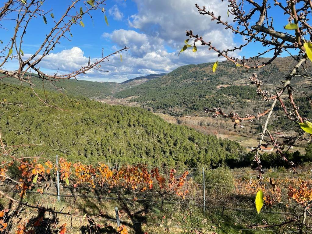 Quinta Da Penada - Vineyard & Winery - Suite 3 シャヴェス エクステリア 写真